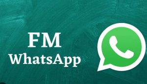 Customizable Privacy: Taking Control with FM WhatsApp